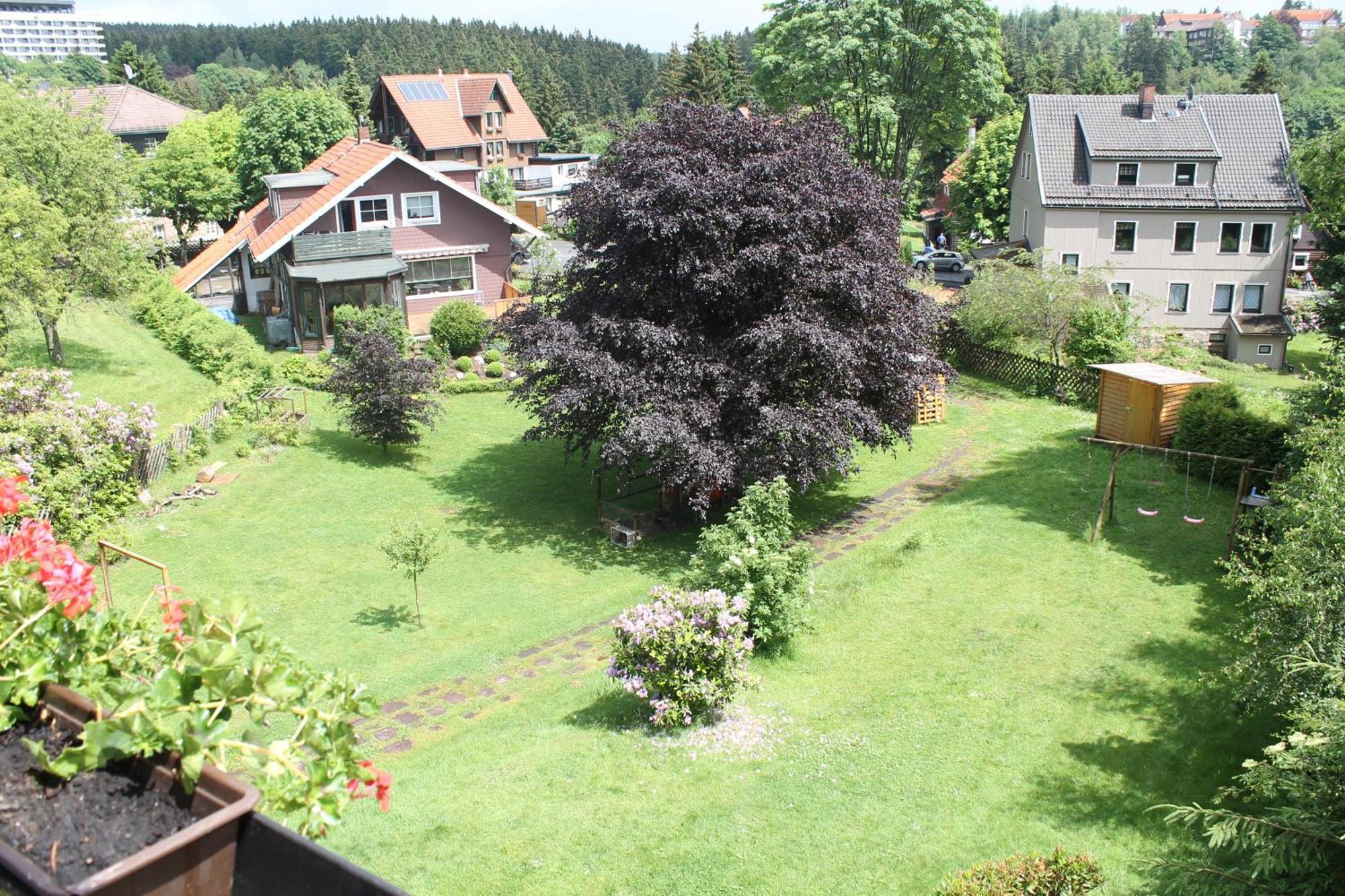 Ulrichshof Hotel Braunlage Luaran gambar